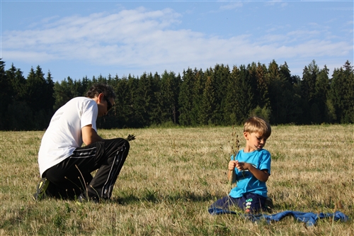 Obrázek v galerii